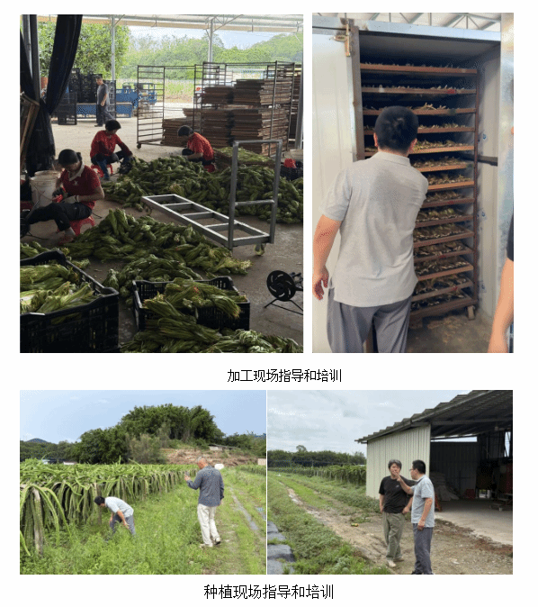 我院农村特派员赴云浮市开展科技服务